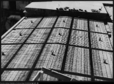 Białystok, odbudowa Pałacu Branickich