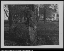 Białystok, Ogrody Branickich