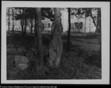 Białystok, Ogrody Branickich