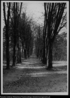 Białystok, Ogrody Branickich