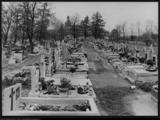 Kazuń Polski, kościół i cmentarz