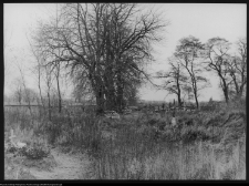 Kazuń Polski, cmentarz