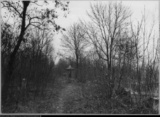 Białystok, cmentarz żydowski przy ul. Wschodniej