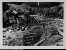 Wigry, zesp&oacute;ł klasztorno-kościelny (odgruzowywanie eremu)