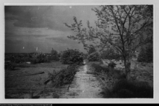 Wigry, teren dawnych ogródków eremitów