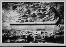 Białystok, Pałac Branickich, sztukaterie pokoju królewskiego