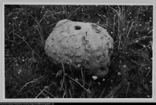 Białystok, Ogrody Branickich, zniszczony wazon parkowy