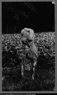 Białystok, Ogrody Branickich