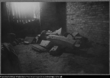 Białystok, odbudowa Pałacu Branickich