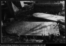 Białystok, cmentarz żydowski przy ul. Wschodniej