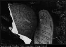 Białystok, cmentarz żydowski przy ul. Wschodniej