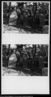 Białystok, cmentarz żydowski przy ul. Wschodniej