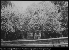 Białystok - Dojlidy, ul. Dojlidy