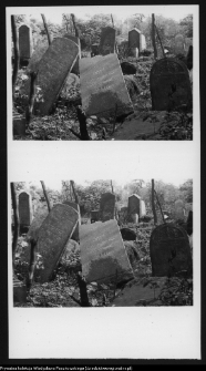 Białystok, cmentarz żydowski przy ul. Wschodniej