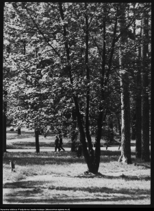 Białystok, Park Planty
