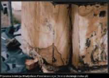 Białystok, kościół p.w. Wniebowzięcia Najświętszej Maryi Panny