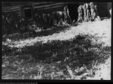 Rutki Stare, chata wiejska nr 32