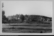 Pniewo, aleja wiodąca do nieistniejącego już dworu