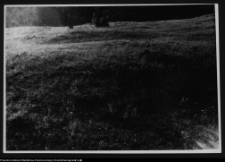 Osowa, teren cmentarzyska kurhanowego