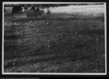 Osowa, torfowisko w pobliżu stanowisk archeologicznych