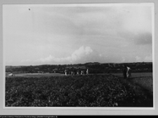 Osowa, w drodze ze wsi do cmentarzyska kurhanowego