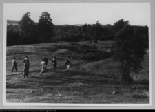 Osowa, stanowisko archeologiczne