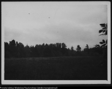 Krajobraz antropo-kulturowy