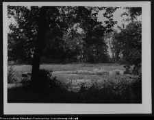 Krajobraz antropo-kulturowy