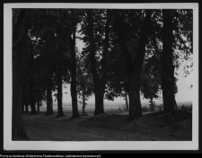 Krajobraz antropo-kulturowy