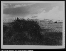 Krajobraz antropo-kulturowy