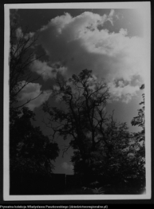 Krajobraz antropo-kulturowy