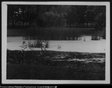 Krajobraz antropo-kulturowy