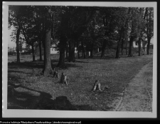 Krajobraz antropo-kulturowy