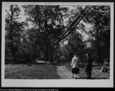 Krajobraz antropo-kulturowy