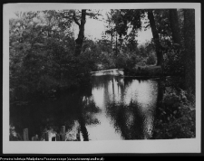 Krajobraz antropo-kulturowy