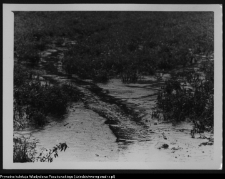 Krajobraz antropo-kulturowy