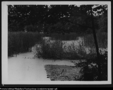 Krajobraz antropo-kulturowy