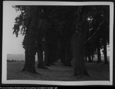 Krajobraz antropo-kulturowy