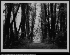 Krajobraz antropo-kulturowy