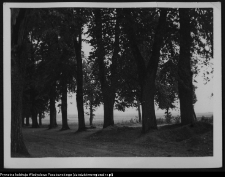 Krajobraz antropo-kulturowy