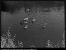 Krajobraz antropo-kulturowy