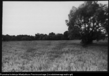 Krajobraz antropo-kulturowy