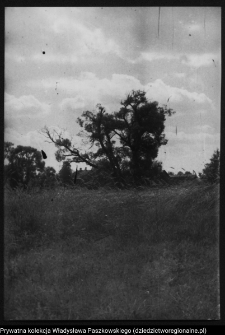 Krajobraz antropo-kulturowy