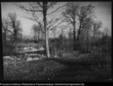 Krajobraz antropo-kulturowy