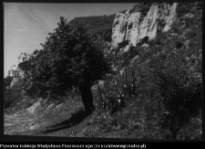 Krajobraz antropo-kulturowy