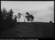 Krajobraz antropo-kulturowy