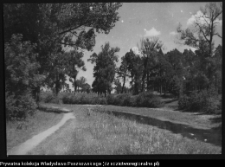 Krajobraz antropo-kulturowy