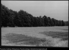 Krajobraz antropo-kulturowy