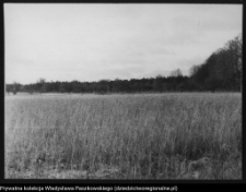 Krajobraz antropo-kulturowy