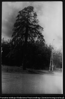 Krajobraz antropo-kulturowy